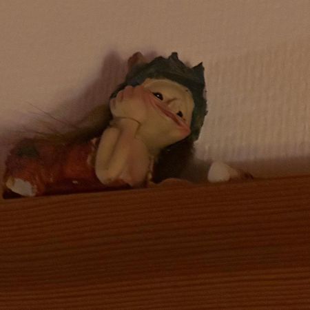 Trollhus - Grosses Familienfreundliches Ferienhaus Борн Екстериор снимка