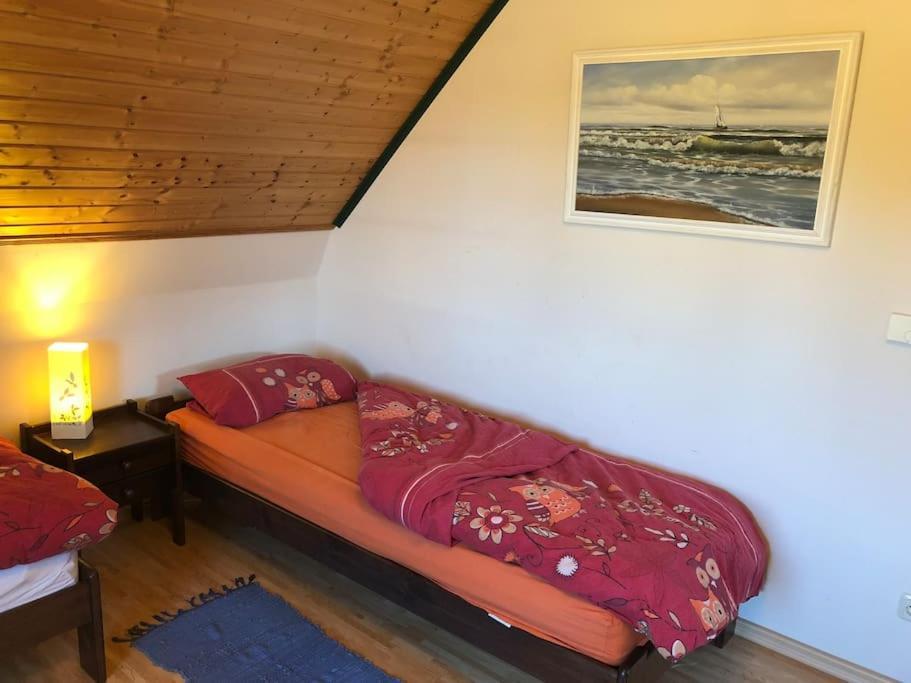 Trollhus - Grosses Familienfreundliches Ferienhaus Борн Екстериор снимка